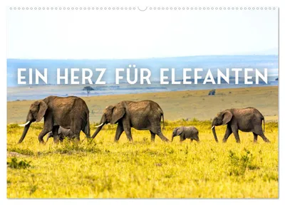Produktbild von Ein Herz für Elefanten (Wandkalender 2027 DIN A2 quer), CALVENDO Monatskalender