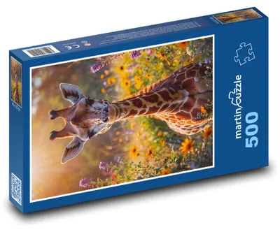 Zdjęcie produktu dla martinpuzzle - Puzzle 500 - Żyrafa