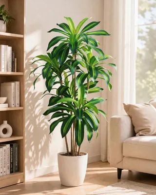 Künstliche Dracaena-Pflanze, 168 cm, grün-schwarz, Dekobaum
