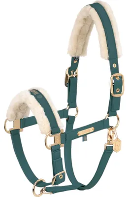 Image de Eskadron Licol FAUX LEATHER DOUBLE PIN FF vintage green Heritage 24/25, taille:WE