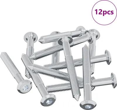 Immagine prodotto di vidaXL Vite 12 pezzi Argento M6 x 50 mm Acciaio