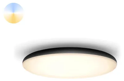 Productafbeelding van Plafondlamp Hue Cher - White Ambiance Ø 47,5cm zwart