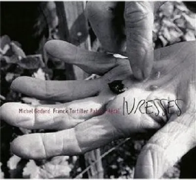 Produktbild von Godard,Michel-Ivresses