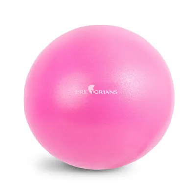 Immagine prodotto di Mini palla per esercizi 25 cm Anti Burst Fitness Ball Palla Yoga fino a 100 kg Rosa