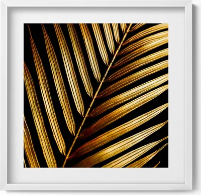 Produktbild von Blatt in Glamour-Gold– Wandbild mit Rahmen – Gerahmtes Bild  – Wanddekoration – 50x50 cm –  Weiß Rahmen