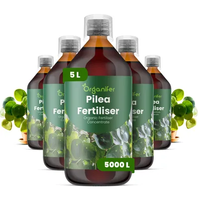 Produktbild von Pilea Flüssigdünger 5x1L – 3-4-3 NPK – Flüssig-Pflanzendünger für Pilea – Organifer