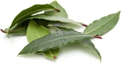 Produktbild von Lorbeerblätter grün - Ellis Gewürz