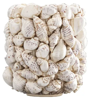 Produktbild von Werner Voß Vase Muscheln Steingut