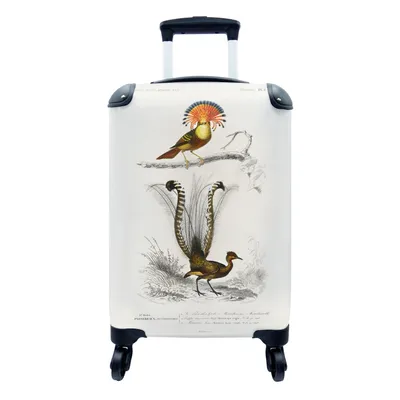 Produktbild von MuchoWow® Koffer Handgepäck Trolley Rollkoffer Kleine Reisekoffer mit 4 Rollen - Vogel - Vintage - Zweig - Cabin Size < 55x40x23 cm & 55x40x20 cm - Fotokoffer - Kabinenkoffer - Boardgepäck - Reise-Box - Reisekoffer - Reisegepäck - Koffer mit Bild - Trolley für Kinder
