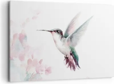 Produktbild von Bild auf Leinwand - Leinwandbild - Einteilig - Kolibri Aquarell Licht - 100x70cm - Wand Bild - Wanddeko - Wandbilder - Leinwanddruck - Bilder - Wanddekoration - Leinwand bilder - AA100x70-4518