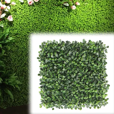 Obrázek produktu pro Umělá živá stěna z boxwoodu – Umělá rostlina, živá stěna – Zelená, plastová (PE) – 25 x 25 cm
