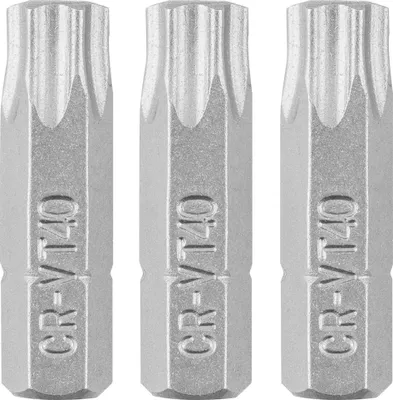 Image de Embouts Torx T40 x 25 mm, 3 pièces.