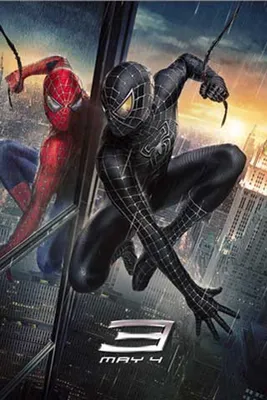 Image de Poster Spider-Man 3 Reflection