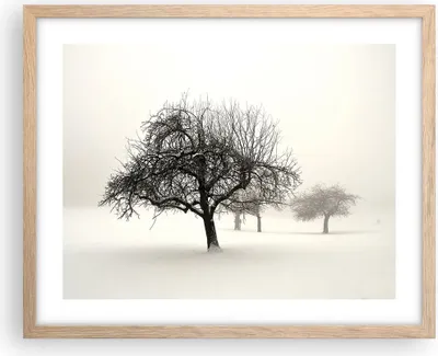 Produktbild von Gerahmtes Poster - Rahmen in heller Eiche - Bäume Schnee Nebel - 50x40 cm - Wand Bild - Wanddeko - Wandbilder - Wandposter - Bilderrahmen - Bilder - Kunstdruck - Wandbild - P2NAA50x40-4136