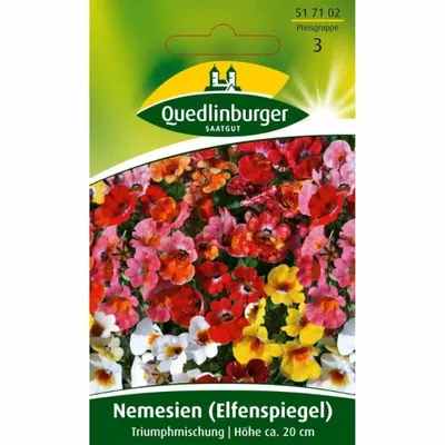 Zdjęcie produktu dla Quedlinburger Saatgut - Nemesia (Elf mirror) Triump - Nasiona - 517102