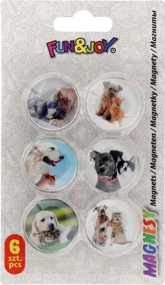 Produktbild von Runde Magnete mit Motiven - konvex - Durchmesser 30 mm - 6 Stk. Fun&Joy Hunde und Katzen - 443873