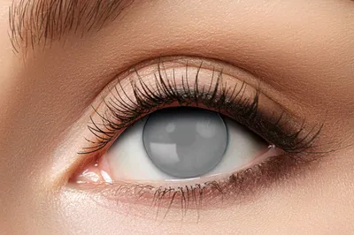 Produktbild von Eyecatcher Motivlinsen - farbige 3-Monats-Kontaktlinsen | m52 - Blind Grey Zombie