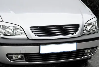 Zdjęcie produktu dla Kratka chłodnicy Kratka sportowa do Opel Zafira A Grill 99-05