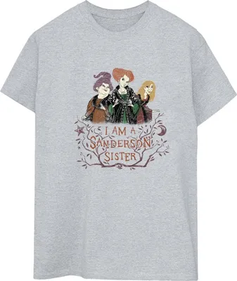 Produktbild von Disney - "Hocus Pocus Sanderson Sister" T-Shirt für Damen BI20149 (L) (Grau)