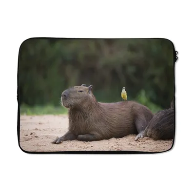Produktbild von MuchoWow® Laptop Hülle 13 Zoll Ein Capybara mit einem kleinen Vogel darauf Laptoptasche - Laptophülle - Sleeve - Rundumschutz