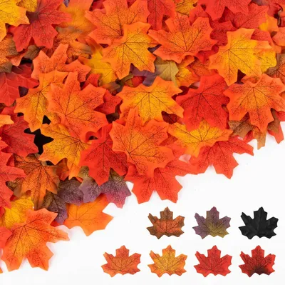 Image de MAQIHAN 350PCS Décorations d'automne - Aesthetic Autumn Fall Decor