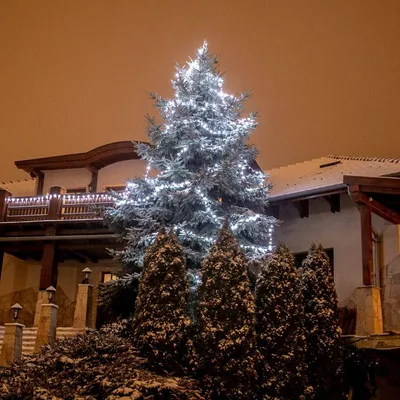 Obrázok produktu pre VOLTRONIC 50 100 200 400 600 LED rozprávkové svetlá vnútorné vonkajšie party dekorácie Vianoce