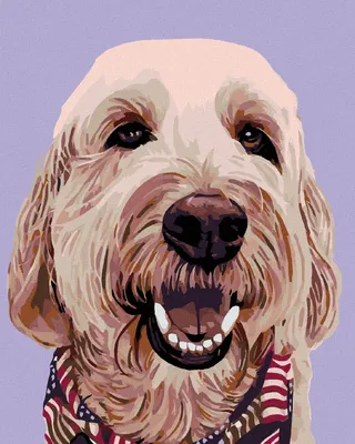 Produktbild von Diamondi - Diamond painting - HUND MIT HALSTUCH, 40X50 cm, mit Keilrahmen (bereits gespannt)