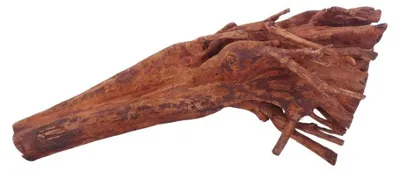 Produktbild von L Jungle Wood Wurzel Nr.4504 Holz Deko Aquascaping