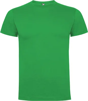Produktbild von Roly CA6502 | Herren Dogo Premium T-Shirt, Single-Jersey - Farbe: Irish Green 24 - Größe: 3XL