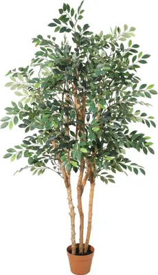 Zdjęcie produktu dla Sztuczna roślina Ficus Exotica 150 cm – sztuczne drzewko dekoracyjne w doniczce