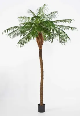 Produktbild von artplants.de Künstliche Phönixpalme, Deluxe, 280cm - hochwertige Kunstpalme - Künstliche Palme