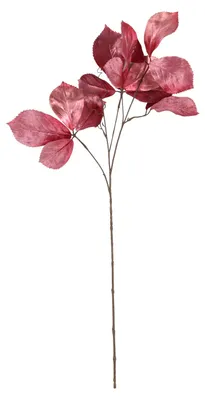Obrázek produktu pro Dekorativní větvička Parthenocissus - Tmavě růžová - 80 cm