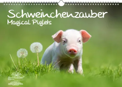 Produktbild von Schweinchenzauber Immerwährender Kalender DIN A3 Schweinchen - Seelenzauber