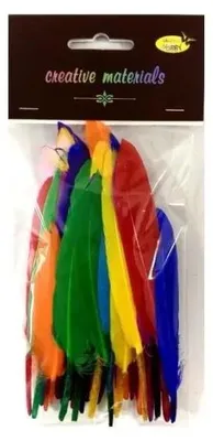 Produktbild von Hartfedern, 15 cm, 50 Stück – Galeria Hobby