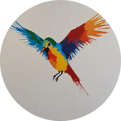 Produktbild von Bunte Vogel-Wanddekoration im Kreisformat