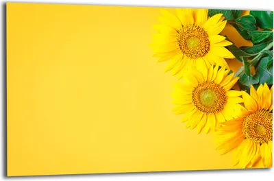 Produktbild von Herdabdeckplatte Glaskeramikkochfeld-Abdeckung Spritzschutz Glas 80x52 Blumen