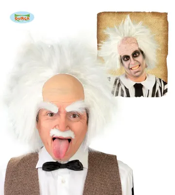 Produktbild von Einstein Perücke für Herren