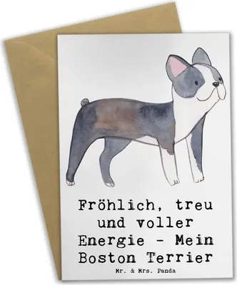Produktbild von Mr. & Mrs. Panda babykarte Boston Terrier Freude - Weiß - Geschenk, mutiger Hund, freundlicher, Hunderassen Vielfalt, Eigenschaften, Charakter, weihnachtskarten