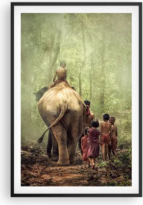 Produktbild von Gerahmtes Poster - Schwarzer Rahmen - Elefant Dschungel Nebel - 61x91,5 cm - Wand Bild - Wanddeko - Wandbilder - Wandposter - Bilderrahmen - Bilder - Kunstdruck - Wandbild - P2BPA61x91-3438
