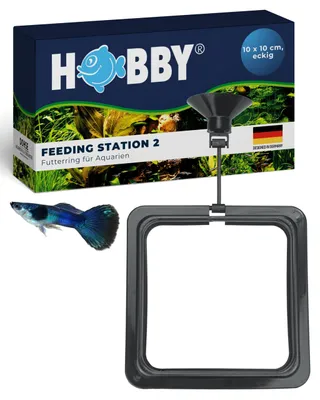 Productafbeelding van Futterring HOBBY, voerstation, vierkant, 10 x 10 cm