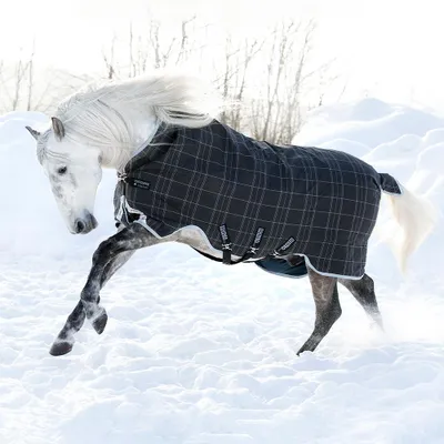Image de Horseware Rhino Wug Turnout 450g Heavy Vari Layer - Noir/Gris/Blanc, 155