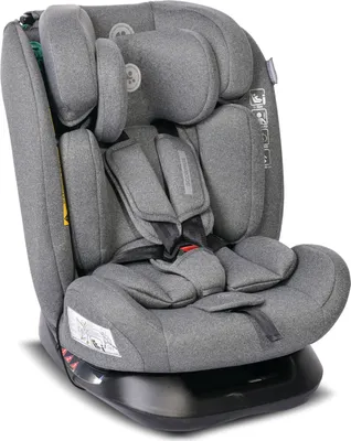 Produktbild von Lorelli Scorpius Grey 40-150 cm i-Size Autositz