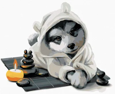 Produktbild von Zuty - Malen nach Zahlen - HUSKY ERHOLT SICH, 40x50 cm, ohne Keilrahmen