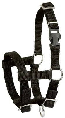 Immagine prodotto di Alpaca halter nero