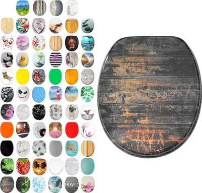 A collage of various toilet seat designs next to a single toilet seat with a vintage wood design.
