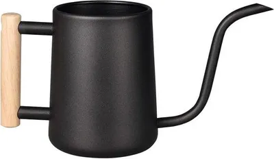 Image de Arrosoir d'intérieur en acier inoxydable de 35 oz avec long bec verseur et poignée en bois pour plantes d'intérieur, noir