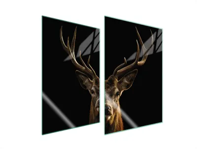Produktbild von Herdabdeckplatten 2 teilig 35x52 Glaskeramikkochfeld Abdeckung Glas Schneidebrett Reh Schwarz