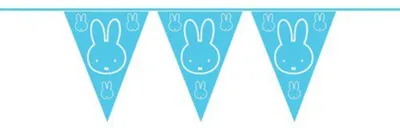 Obrázok produktu pre Haza vlajka - čiary 10 M Chlapec/Miffy
