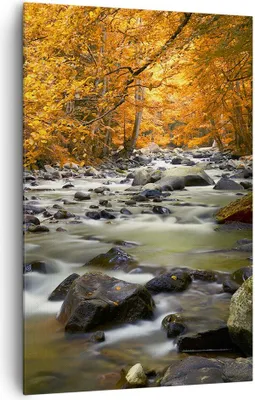 Produktbild von Bild auf Leinwand - Leinwandbild - Einteilig - Stream Herbst Forrest Berg - 80x120cm - Wand Bild - Wanddeko - Wandbilder - Leinwanddruck - Wanddekoration - Leinwand bilder - Wandbild - PA80x120-2703