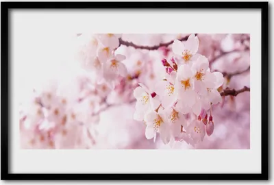 Produktbild von Bild 60x40 MDF-Rahmen Wandkunst Blumen Pflanzen Natur